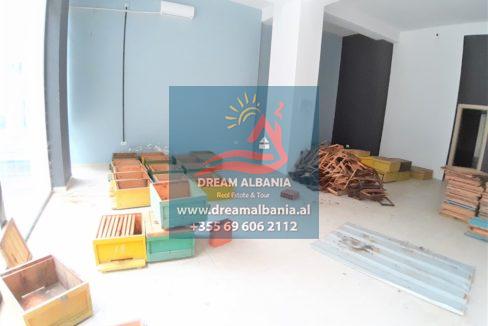 20191112_113307 (1024x768)