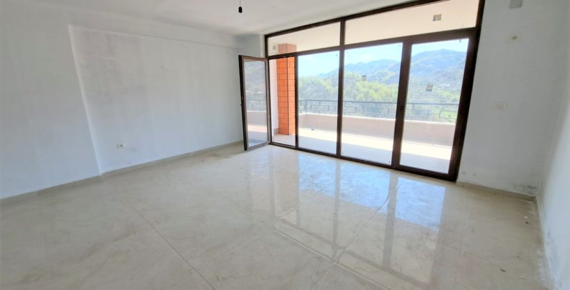 2 duplex apartments for sale in the Botanical Garden area near the mosque in Tirana (ID 4131272)