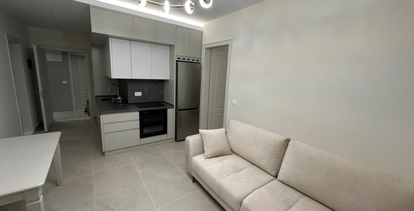 1+1 apartment for rent on Bogdanev Street near Spar (ID 42111236)
