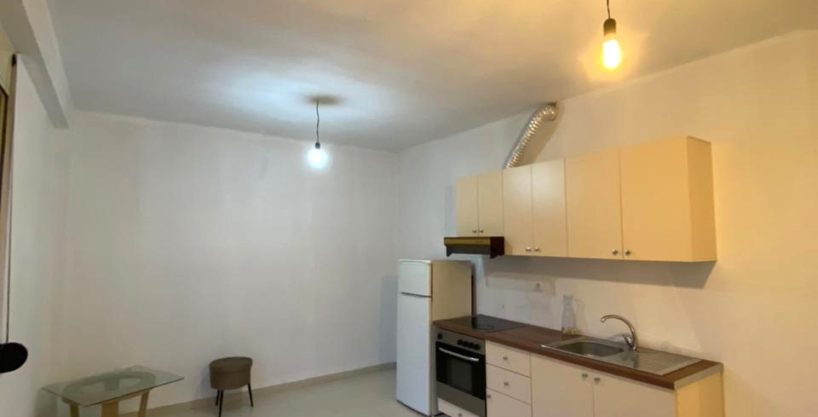 1+1 apartment for rent in the Zoo area (ID 4211789).