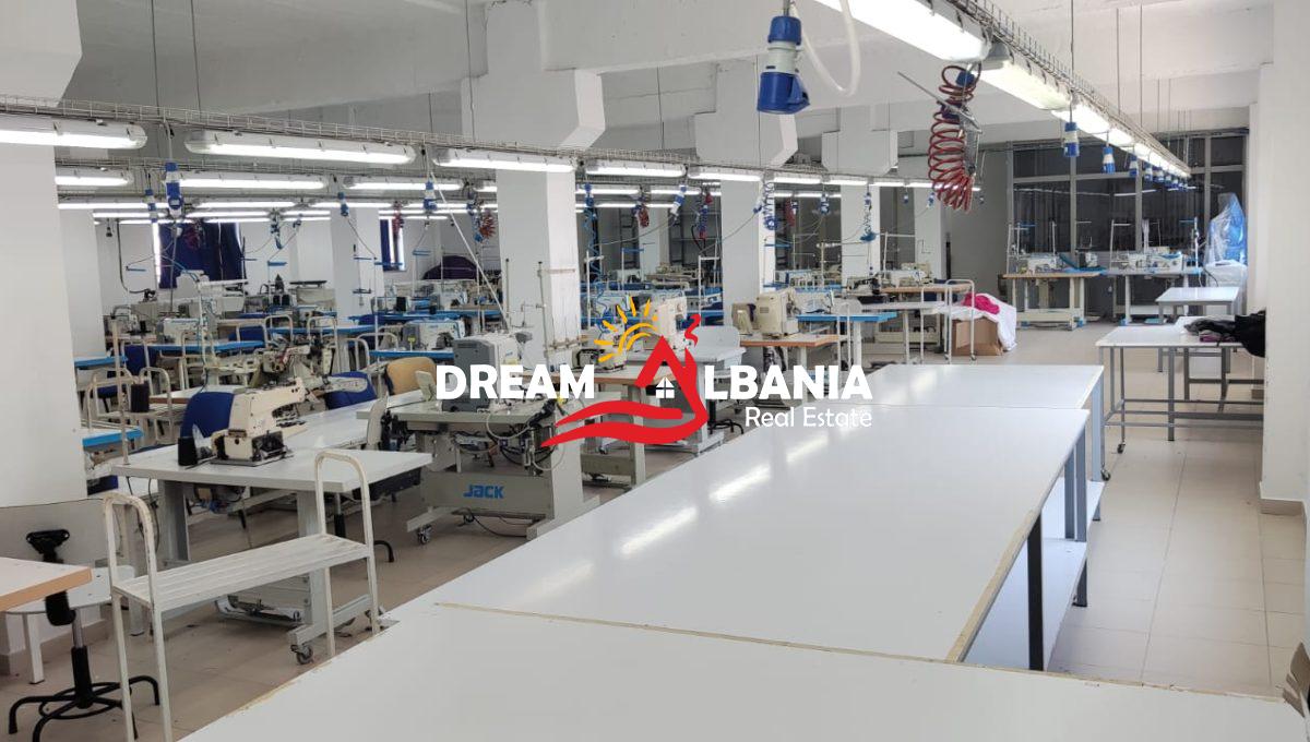 WhatsApp Image 2024-12-06 at 1.28.00 PM (1)