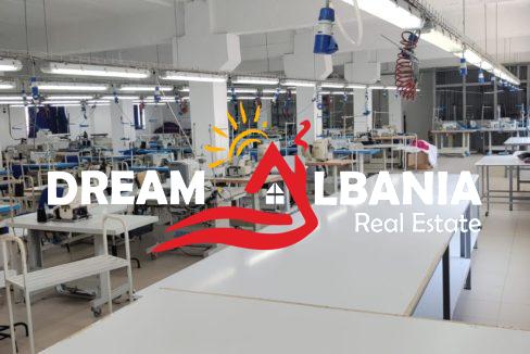 WhatsApp Image 2024-12-06 at 1.28.00 PM (1)