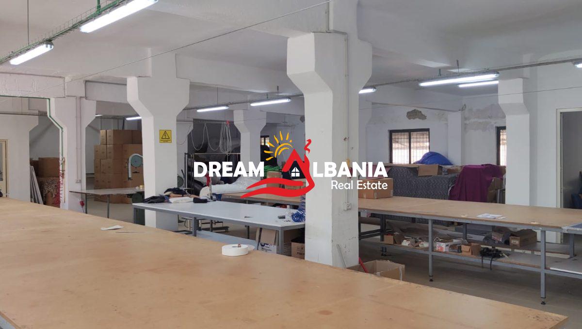 WhatsApp Image 2024-12-06 at 1.28.00 PM