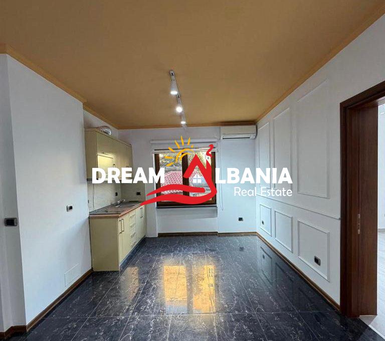 ambjent-biznesi-me-qira-rruga-e-durresit (1)