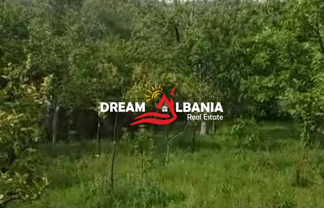 WhatsApp Image 2026-01-12 at 5.09.19 PM