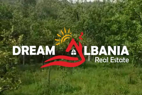 WhatsApp Image 2026-01-12 at 5.09.19 PM