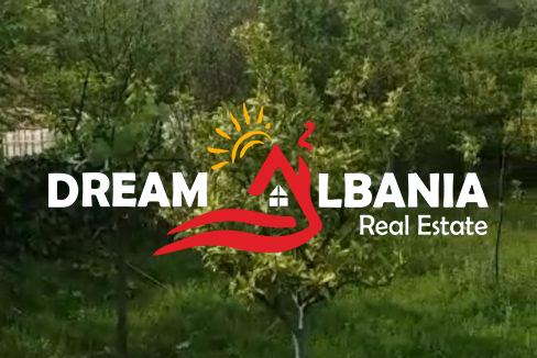 WhatsApp Image 2026-01-12 at 5.09.24 PM