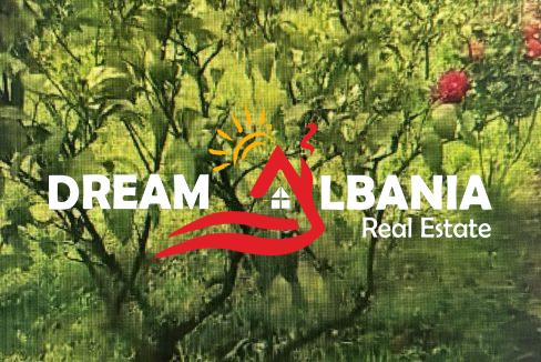 WhatsApp Image 2026-01-12 at 5.15.17 PM