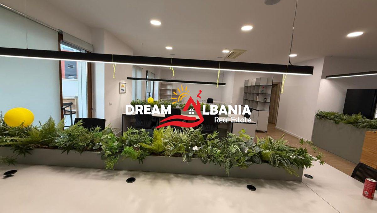 Ambient Biznesi me qera hilton (2)