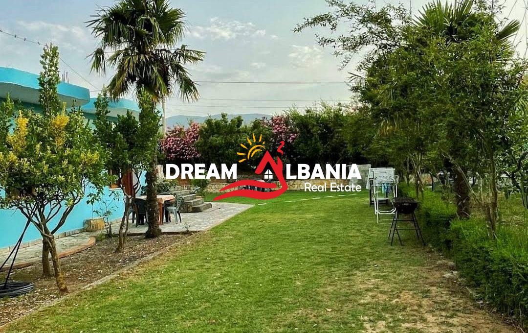 WhatsApp Image 2026-03-19 at 11.46.59