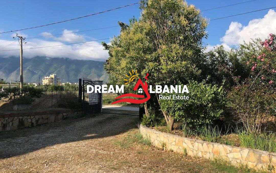 WhatsApp Image 2026-03-19 at 11.47.00