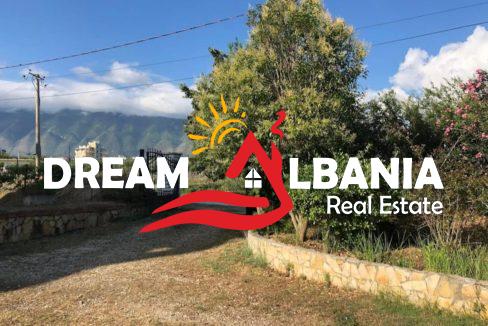 WhatsApp Image 2026-03-19 at 11.47.00