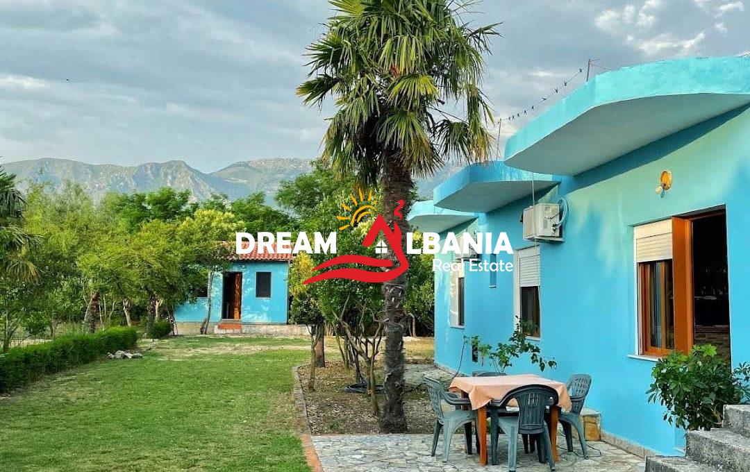 WhatsApp Image 2026-03-19 at 11.47.01 (1)